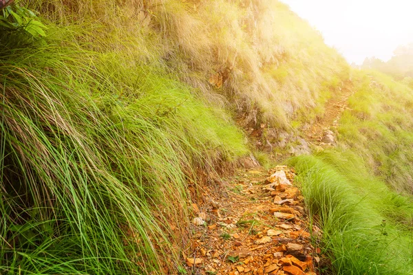 Pathway landscape in mountains — Stock Photo, Image
