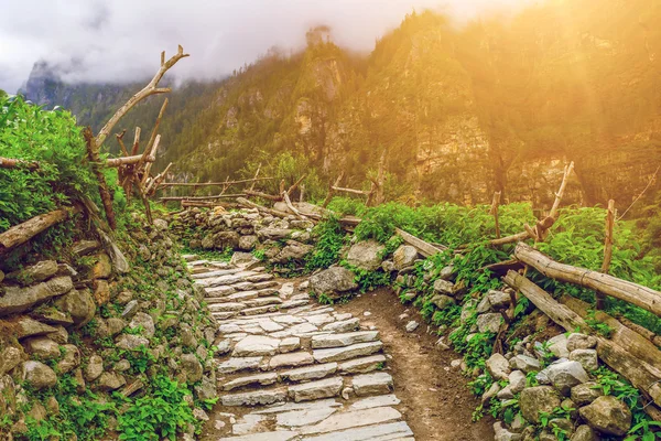 Kamenná cesta v horách — Stock fotografie