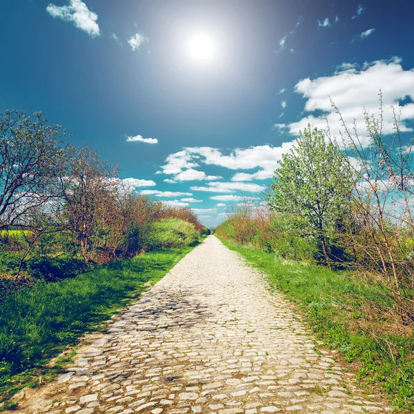 Road in Bakota Park — Stock Photo, Image