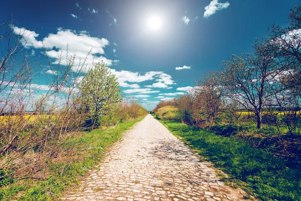 Road in Bakota Park — Stock Photo, Image