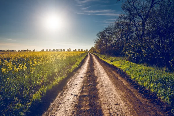 Sunshine and rural road in Bakota — Stock Photo, Image