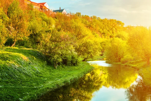 Rivier met bomen en struiken — Stockfoto