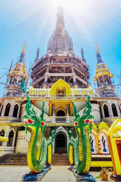 Gaj oliwny 20starej świątyni w Tajlandii — Zdjęcie stockowe