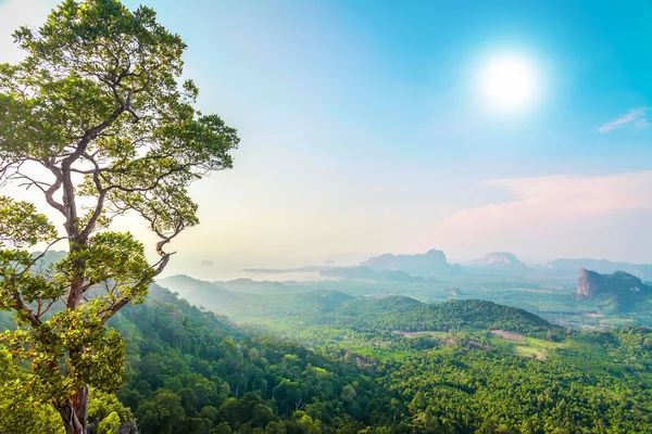 Groene bergen in Thailand — Stockfoto