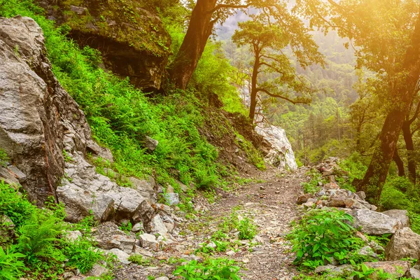 Strada di montagna nella valle — Foto Stock