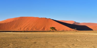 Sossusvlei, Namib Naukluft Milli Parkı, Namibya