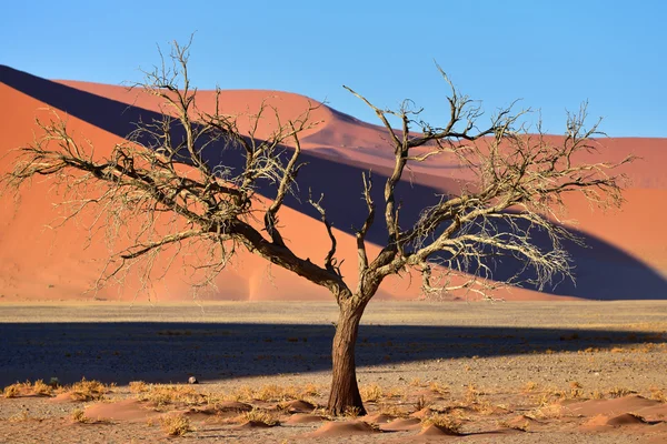 SOSSUSVLEI. Namibië, Afrika — Stockfoto