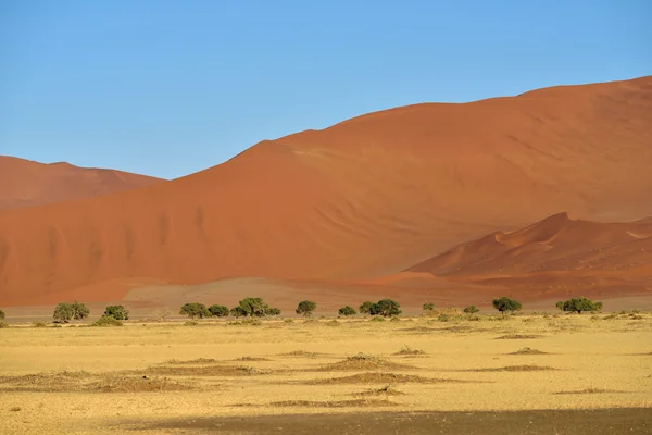Sossusvlei, Parque Nacional de Namib Naukluft, Namibia — Foto de Stock