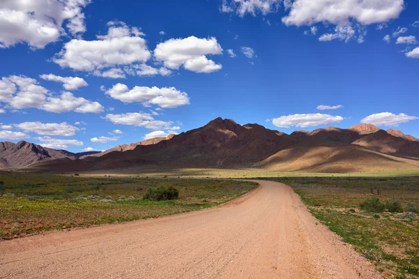 Nationaal park Namib-Naukluft — Stockfoto