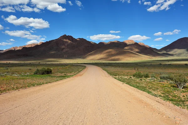 Nationaal park Namib-Naukluft — Stockfoto