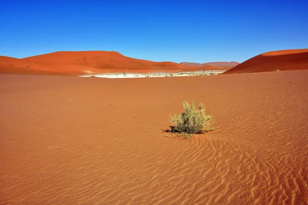 Sossusvlei, Namib Naukluft National Park, Namibia — Stock Photo, Image