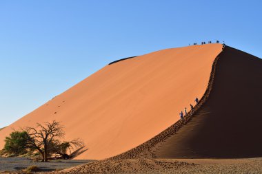 Sossusvlei, Namibya, Dune 45