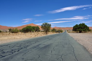 Tar road Namib Çölü, Namibya, Afrika
