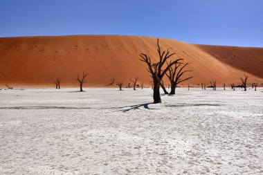 Deadvlei, Sossusvlei. Namibya