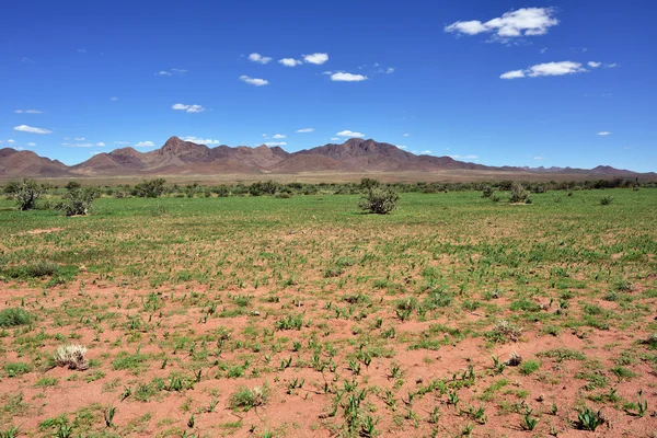 Namib desert landscape, Namibia — Stock Photo, Image