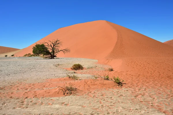 Sossusvlei Namibia Africa — Stock Photo, Image