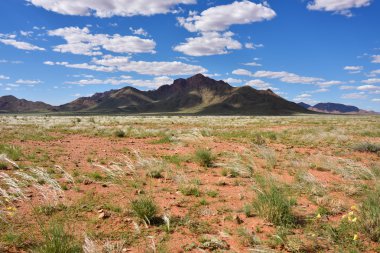 Namib Çölü manzarası, Namibya