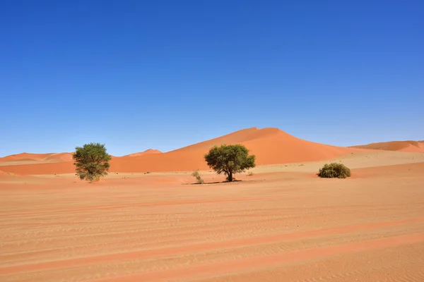 SOSSUSVLEI, Namib Naukluft Nationaal Park, Namibie — Stockfoto