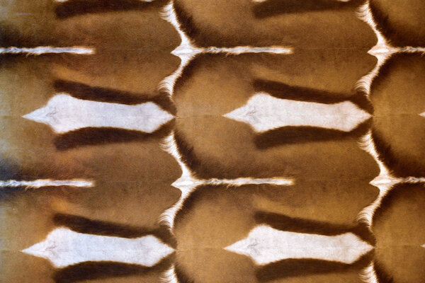 Весенний бэкграунд
