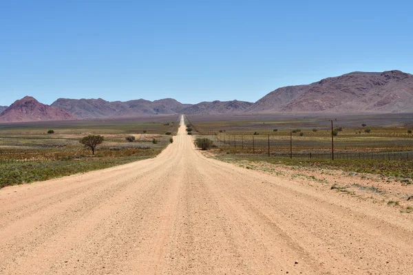 Yol Namibya — Stok fotoğraf