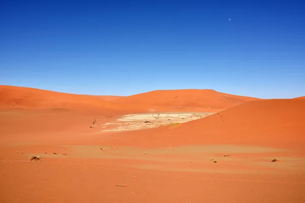 Sossusvlei, Namib Parc national du Naukluft, Namibie — Photo