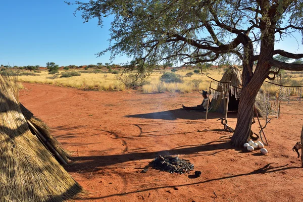 Bushmen Köyü, Kalahari Çölü, Namibya — Stok fotoğraf