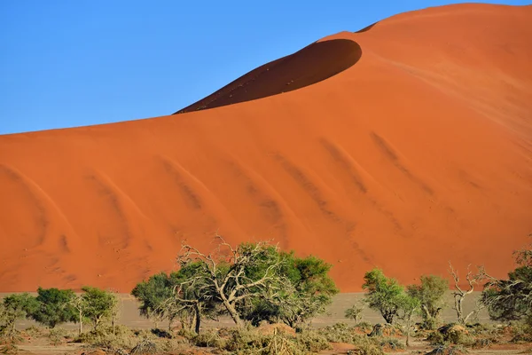 Sossusvlei, namib naukluft nationalpark, namibia — Stockfoto