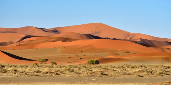 Αφρική, Ναμίμπια, εθνικό πάρκο Namib-Naukluft — Φωτογραφία Αρχείου