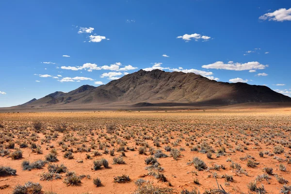 Namib Çölü manzarası, Namibya — Stok fotoğraf