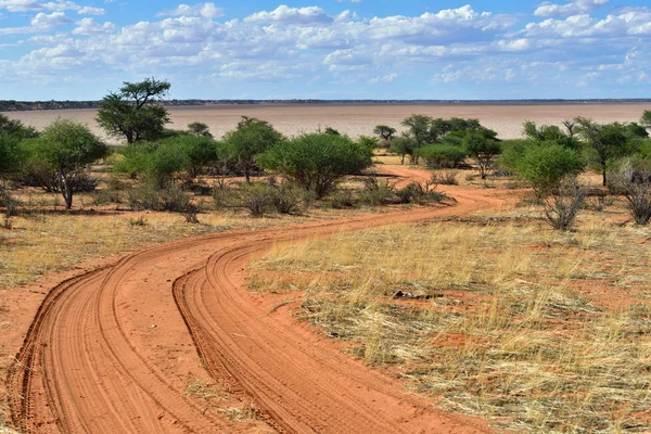 Die Kalahari-Wüste, namibia — Stockfoto