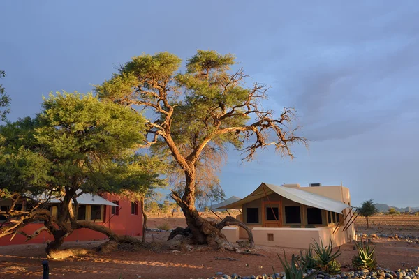 Namibia, travel Africa — Stock Photo, Image