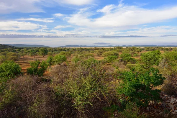 Damaraland landscape, Namibia, Africa — Stock Photo, Image