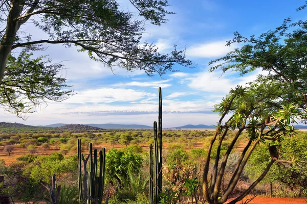 Damaraland landscape, Namibia, Africa — Stock Photo, Image