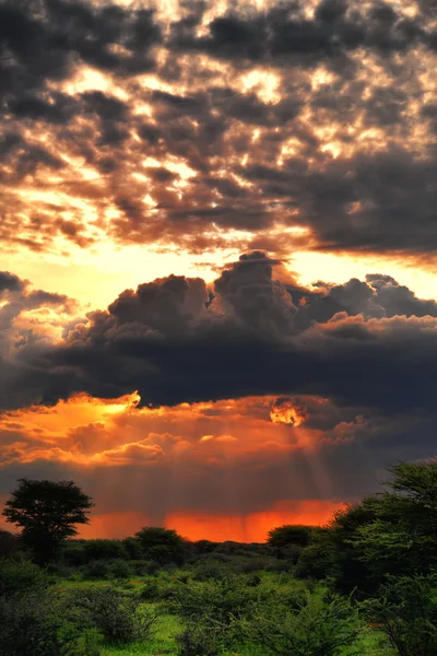 Fırtınalı günbatımı, Afrika — Stok fotoğraf