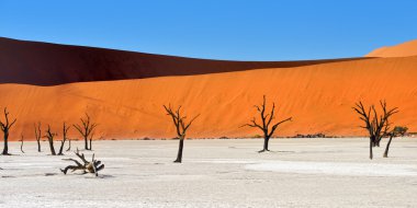 Deadvlei, Sossusvlei. Namibya