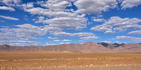 Namib desert landscape, Namibia — Stock Photo, Image