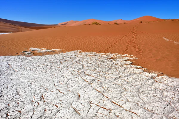 SOSSUSVLEI, Namib Naukluft Nationaal Park, Namibie — Stockfoto