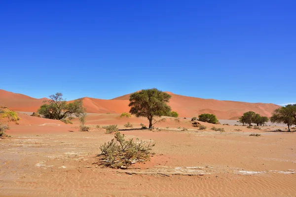 Sossusvlei, Namib Naukluft National Park, Namíbia — Fotografia de Stock