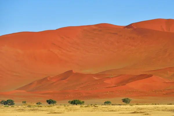 SOSSUSVLEI, Namib Naukluft Nationaal Park, Namibie — Stockfoto