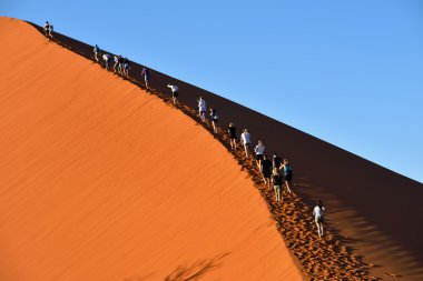 Sossusvlei, Namibya, Dune 45