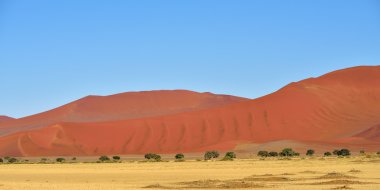 Sossusvlei, Namib Naukluft Milli Parkı, Namibya