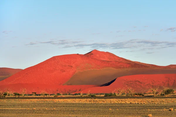 Sossusvlei, Namib Naukluft National Park, Namibia — Stockfoto