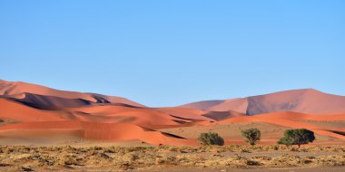 Sossusvlei, Namib Naukluft Milli Parkı, Namibya
