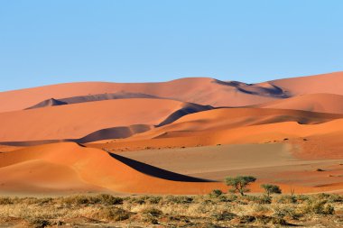 Namib-Naukluft Milli Parkı, Namibya, Afrika