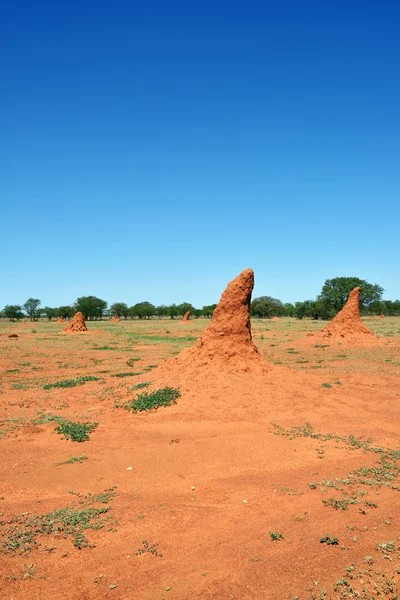 Namibia, termite mounds — Stock Photo, Image