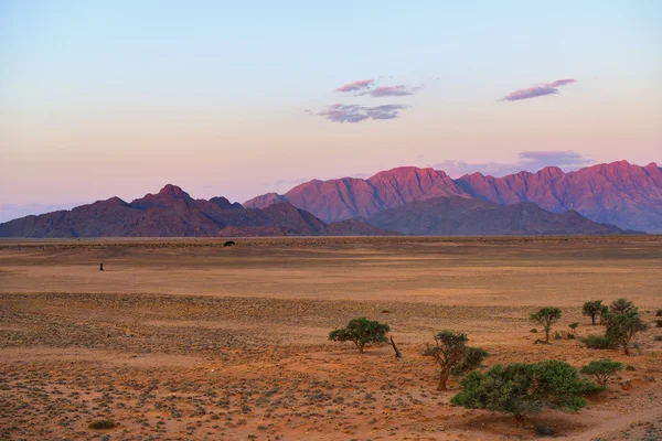 Sossusvlei, Namib Naukluft National Park, Namíbia — Fotografia de Stock