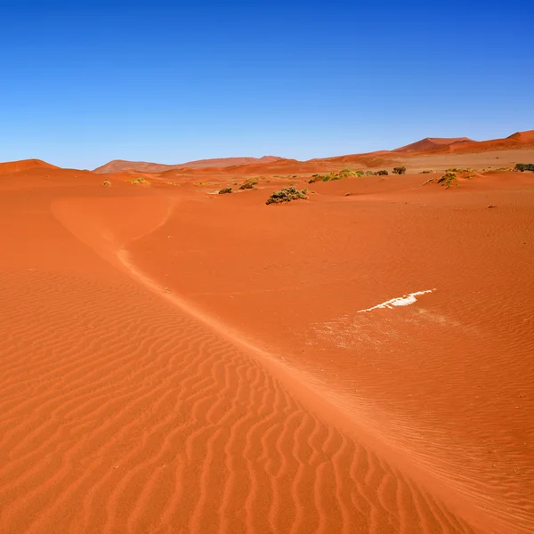 Sossusvlei, Namib Naukluft National Park, Namibia — Stock Photo, Image