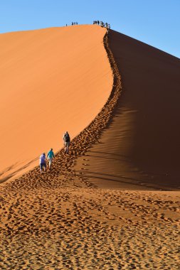 Sossusvlei, Namibya, Dune 45