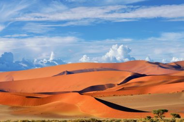 Sossusvlei, Namib Naukluft Milli Parkı, Namibya