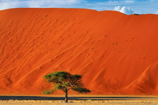 Sossusvlei, Namib Naukluft National Park, Namíbia — Fotografia de Stock